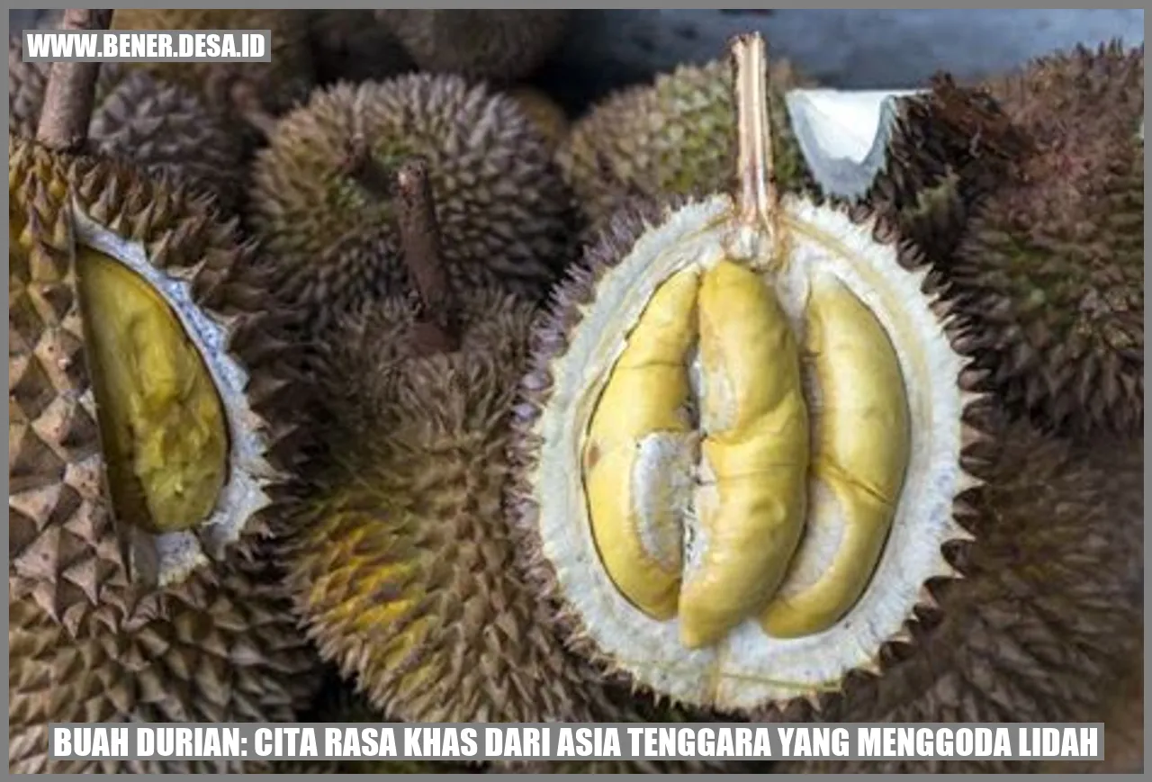 Buah Durian Cita Rasa Khas Dari Asia Tenggara Yang Menggoda Lidah