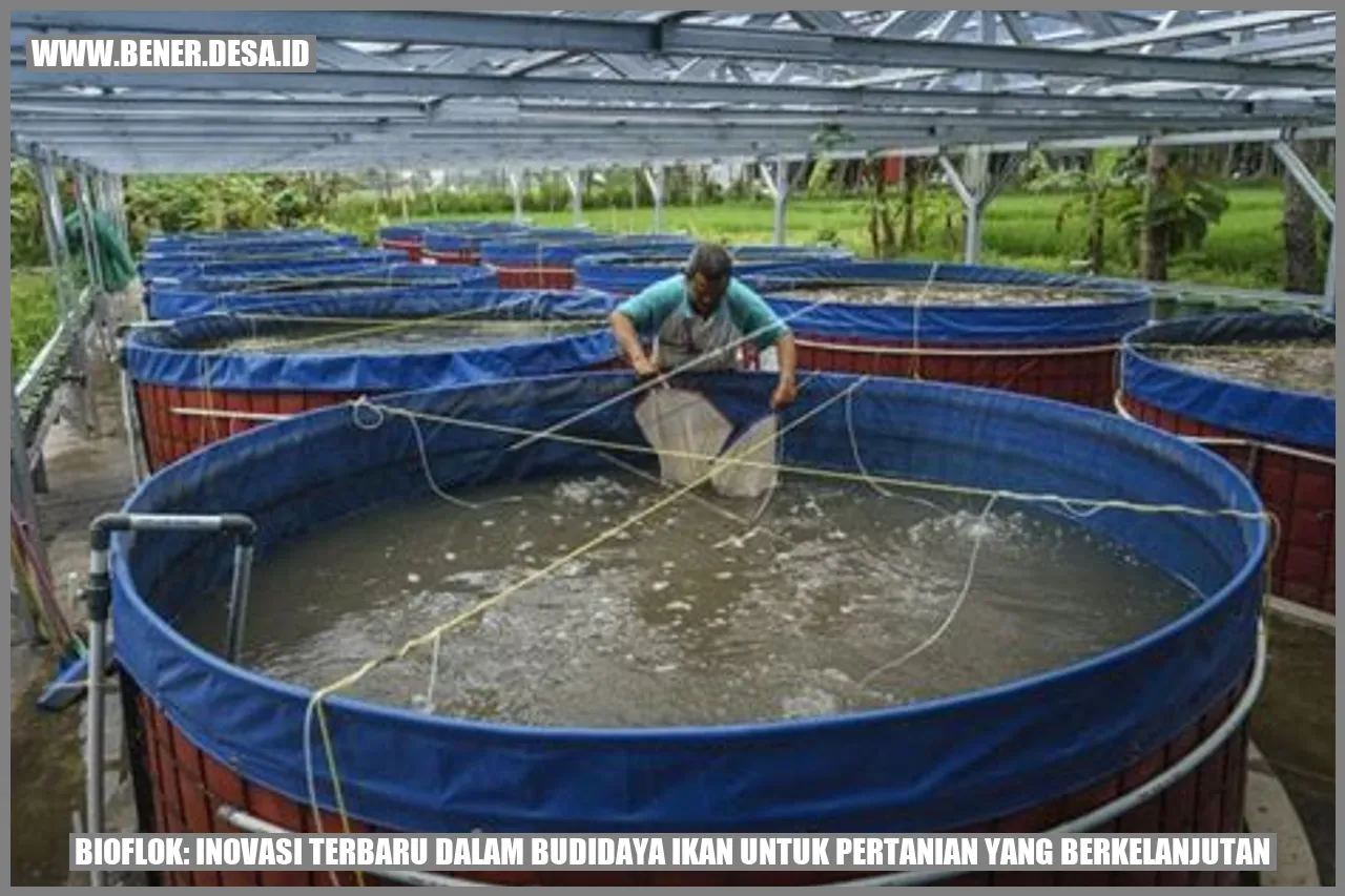 Bioflok: Inovasi Terbaru dalam Budidaya Ikan untuk Pertanian yang Berkelanjutan