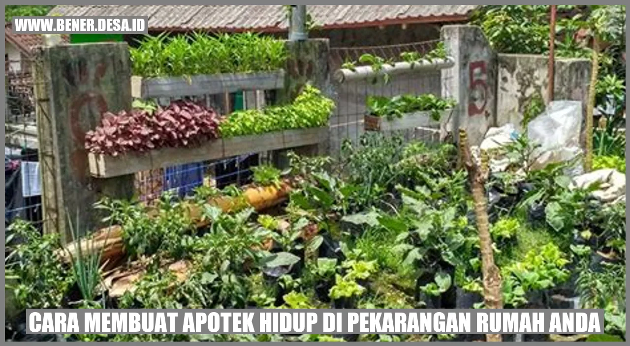 Cara Membuat Apotek Hidup di Pekarangan Rumah Anda