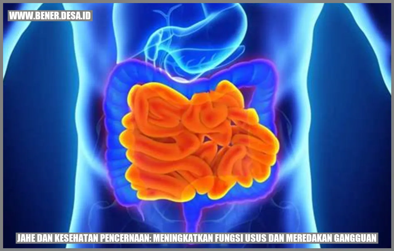 Jahe dan Kesehatan Pencernaan: Meningkatkan Fungsi Usus dan Meredakan Gangguan