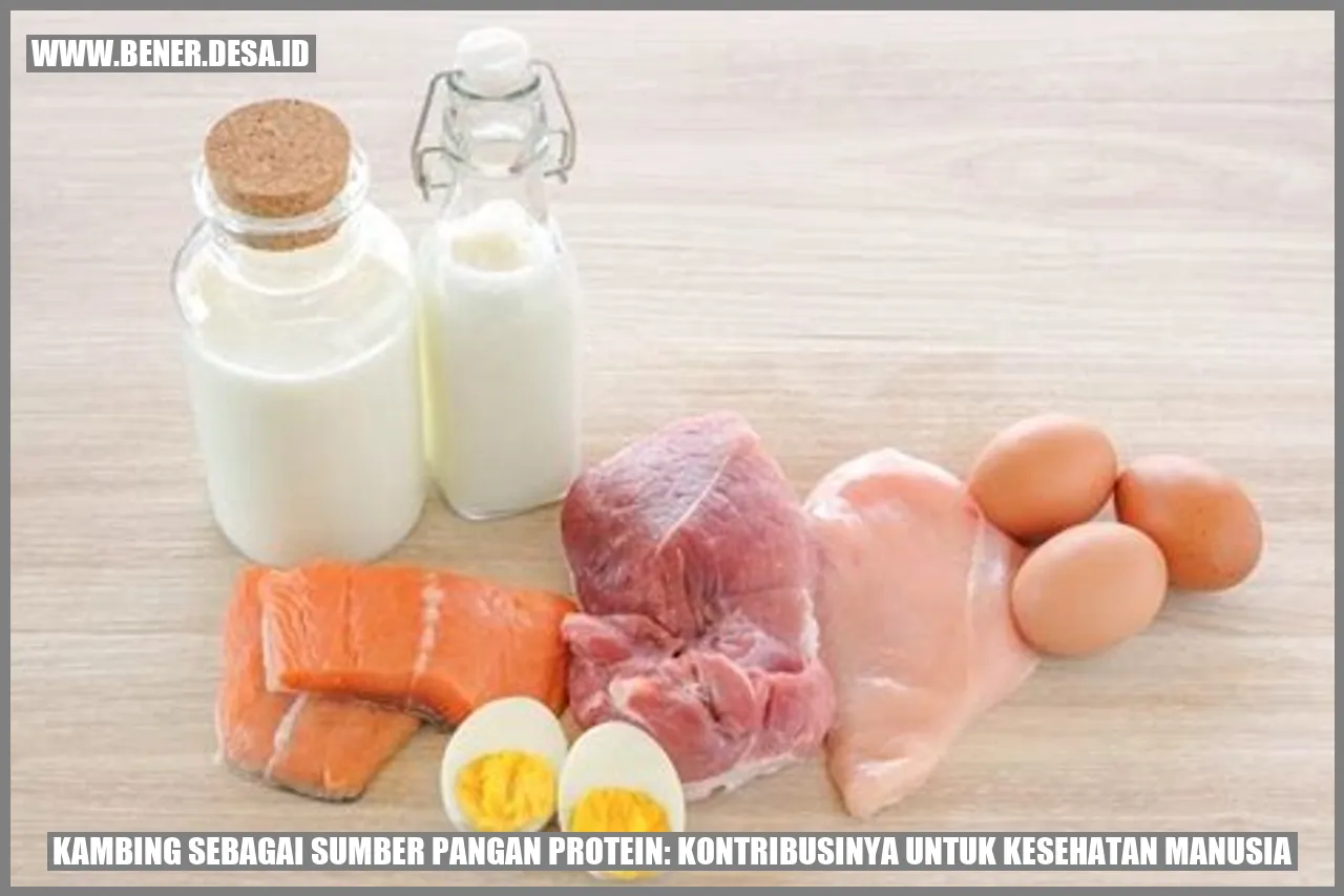 Kambing sebagai Sumber Pangan Protein: Kontribusinya untuk Kesehatan Manusia