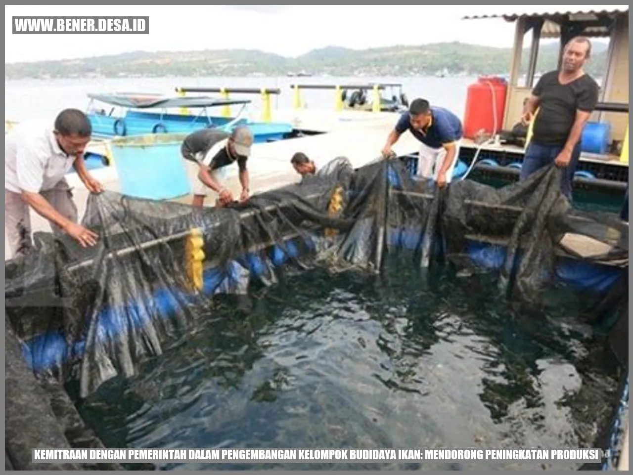 Kemitraan dengan Pemerintah dalam Pengembangan Kelompok Budidaya Ikan: Mendorong Peningkatan Produksi