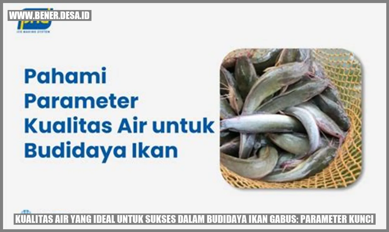 Kualitas Air yang Ideal untuk Sukses dalam Budidaya Ikan Gabus: Parameter Kunci