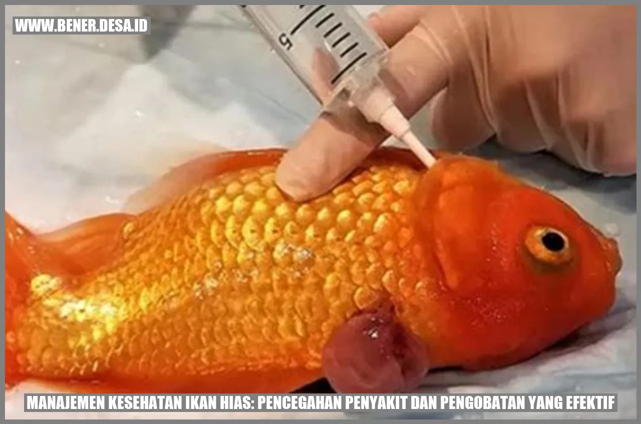 Ikan Hias