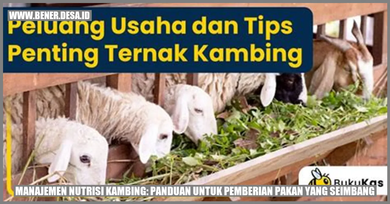 Manajemen Nutrisi Kambing: Panduan untuk Pemberian Pakan yang Seimbang