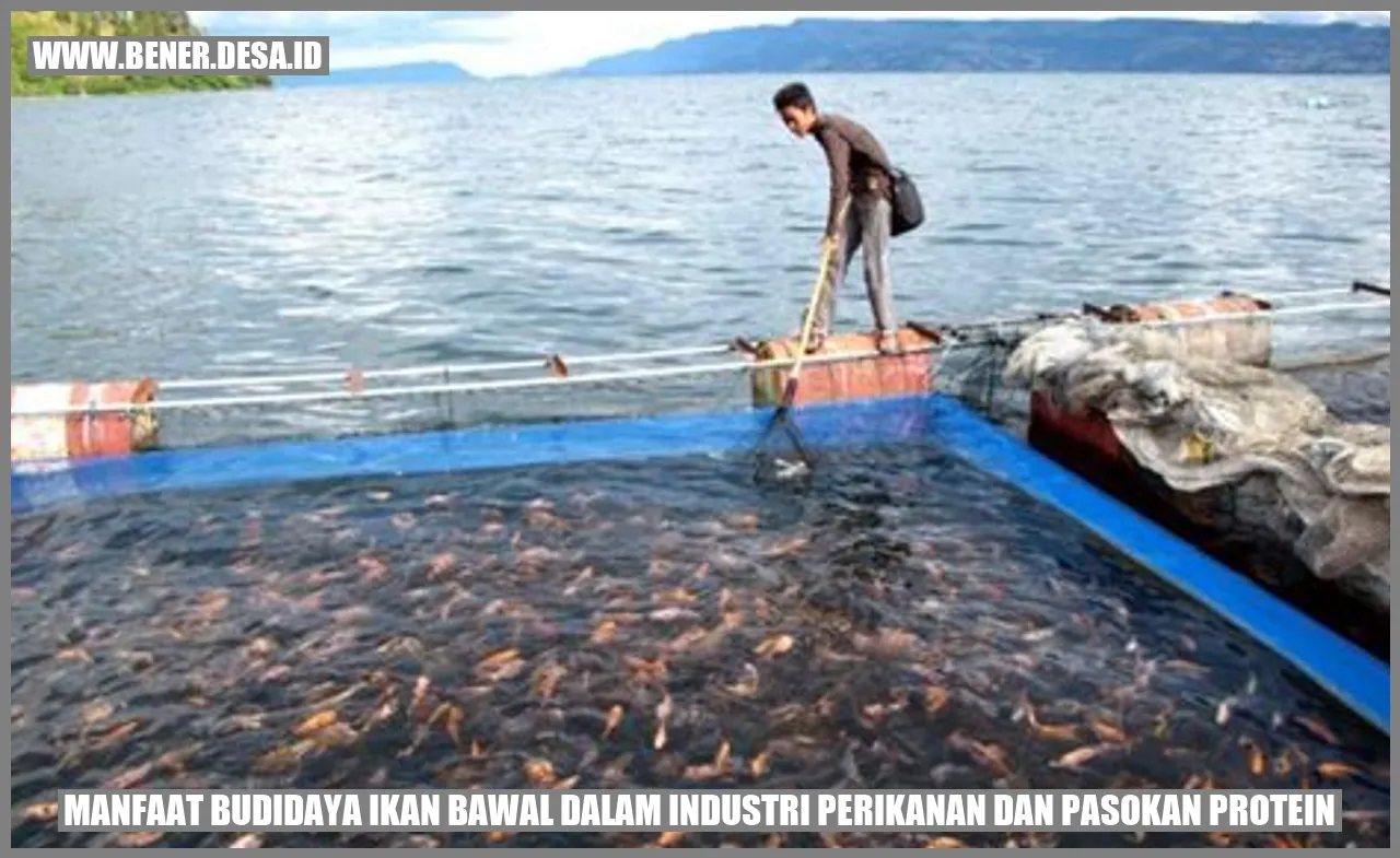 Gambar Ikan Bawal