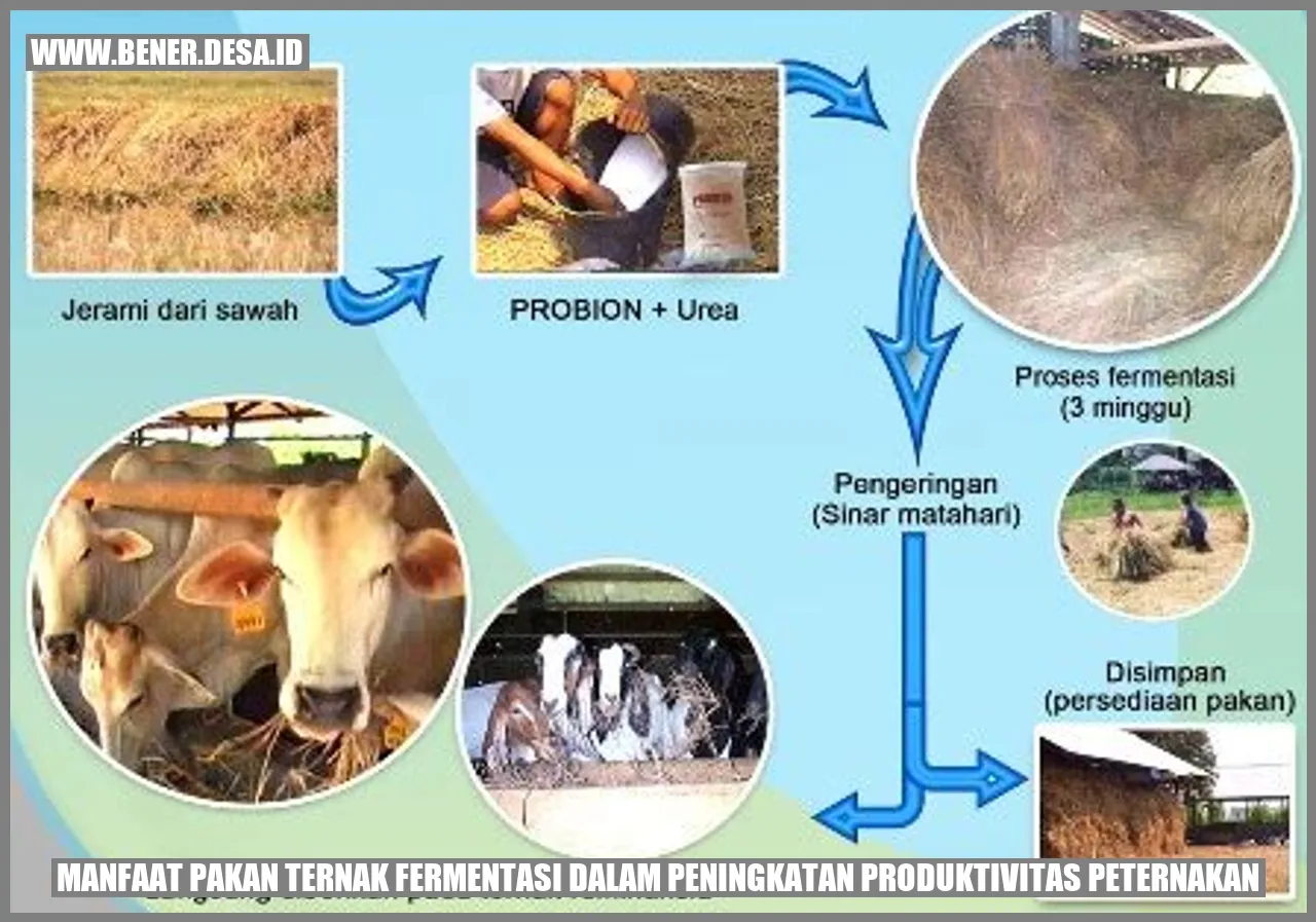 Manfaat Pakan Ternak Fermentasi dalam Peningkatan Produktivitas Peternakan