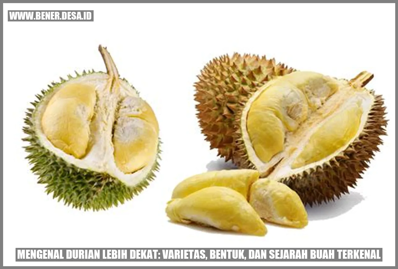 Gambar Durian