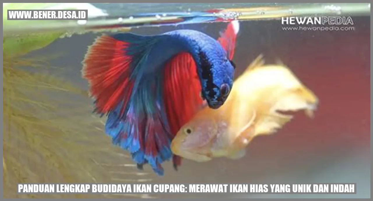 Budidaya Ikan Cupang: Merawat Ikan Hias yang Unik dan Indah