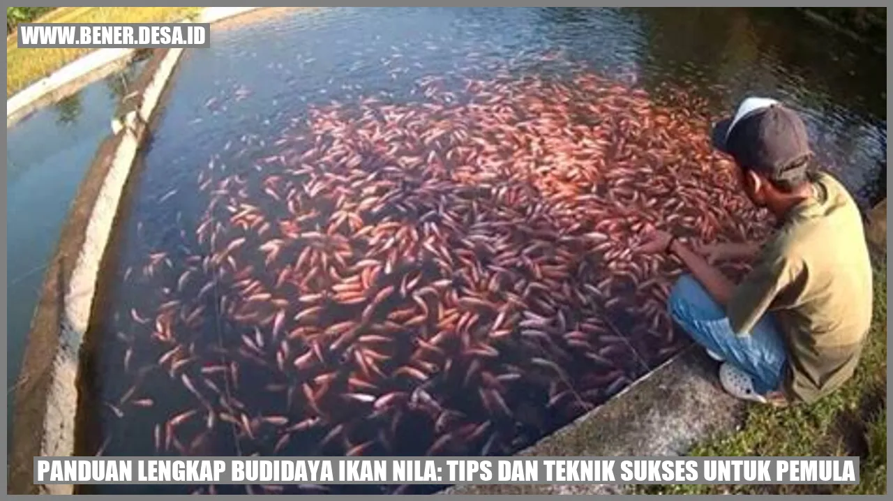 Panduan Lengkap Budidaya Ikan Nila Tips Dan Teknik Sukses Untuk Pemula