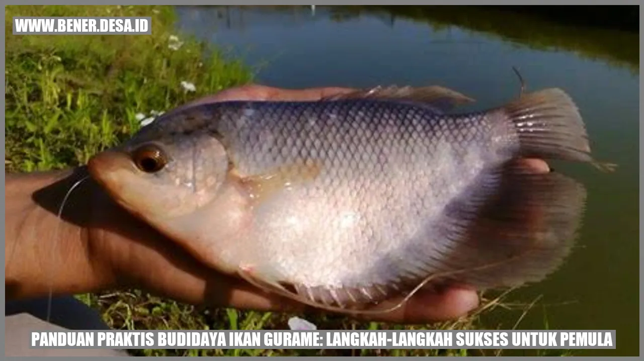 Ikan gurame