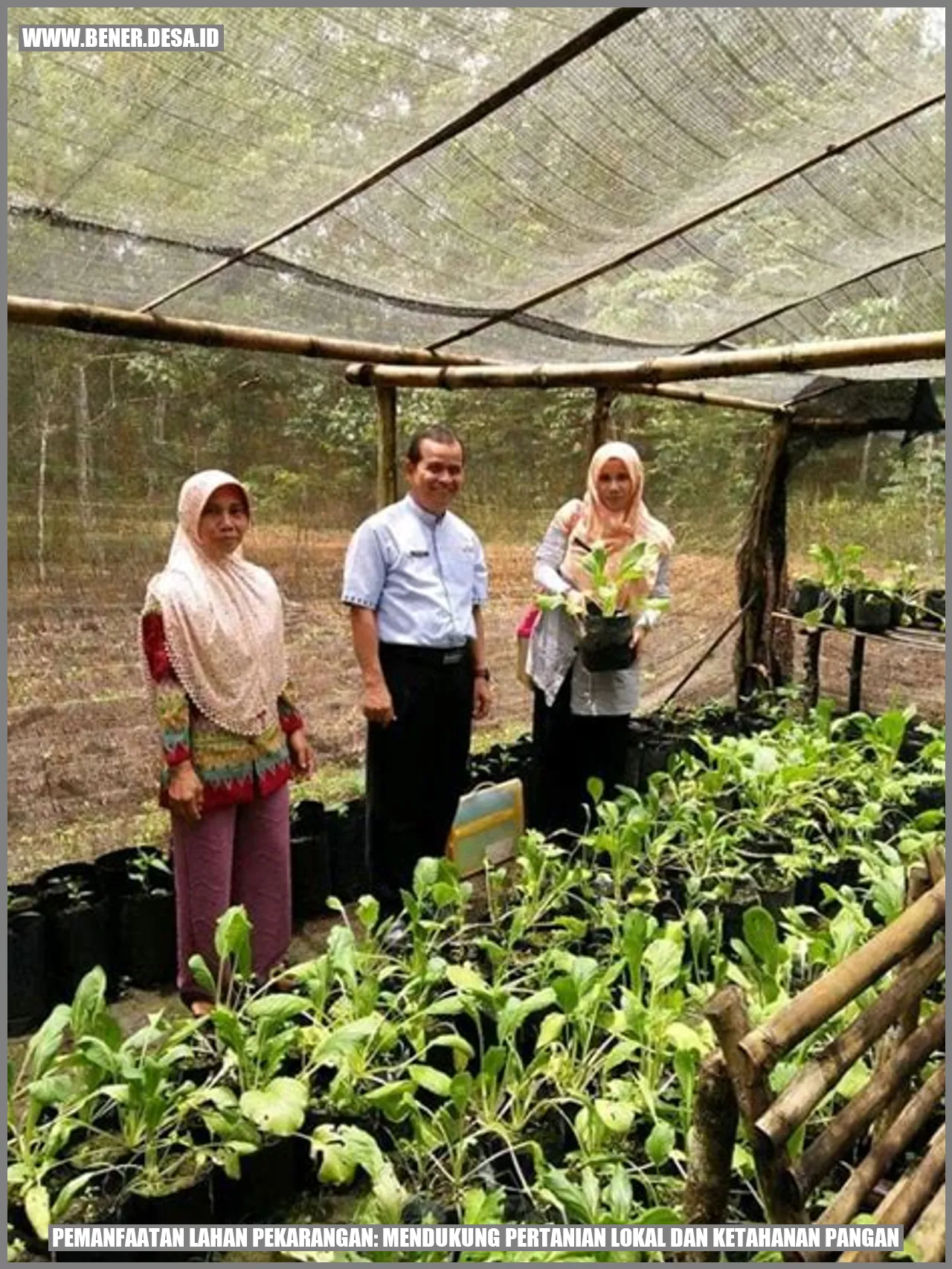 Pemanfaatan Lahan Pekarangan: Mendukung Pertanian Lokal dan Ketahanan Pangan