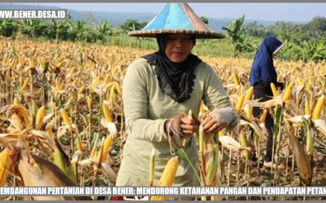 Pembangunan Pertanian di Desa Bener: Mendorong Ketahanan Pangan dan Pendapatan Petani