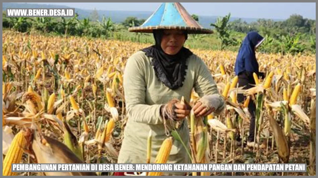 Pembangunan Pertanian di Desa Bener: Mendorong Ketahanan Pangan dan Pendapatan Petani