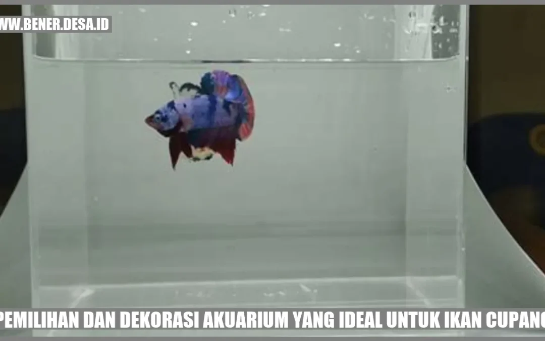 Pemilihan dan Dekorasi Akuarium yang Ideal untuk Ikan Cupang