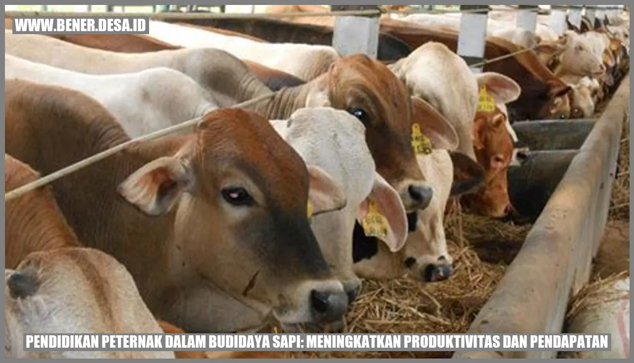 Pendidikan Peternak dalam Budidaya Sapi: Meningkatkan Produktivitas dan Pendapatan