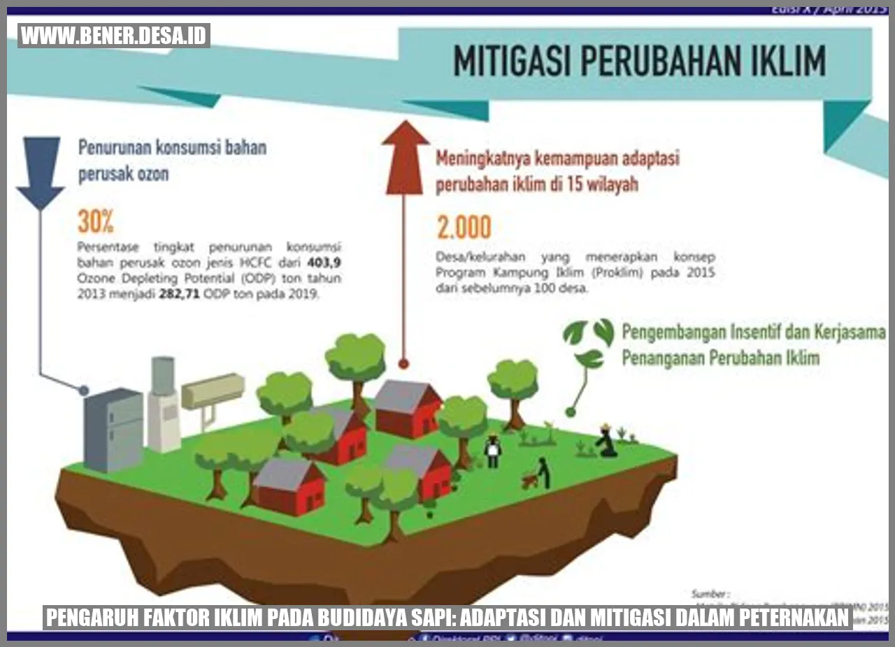 Pengaruh Faktor Iklim pada Budidaya Sapi: Adaptasi dan Mitigasi dalam Peternakan