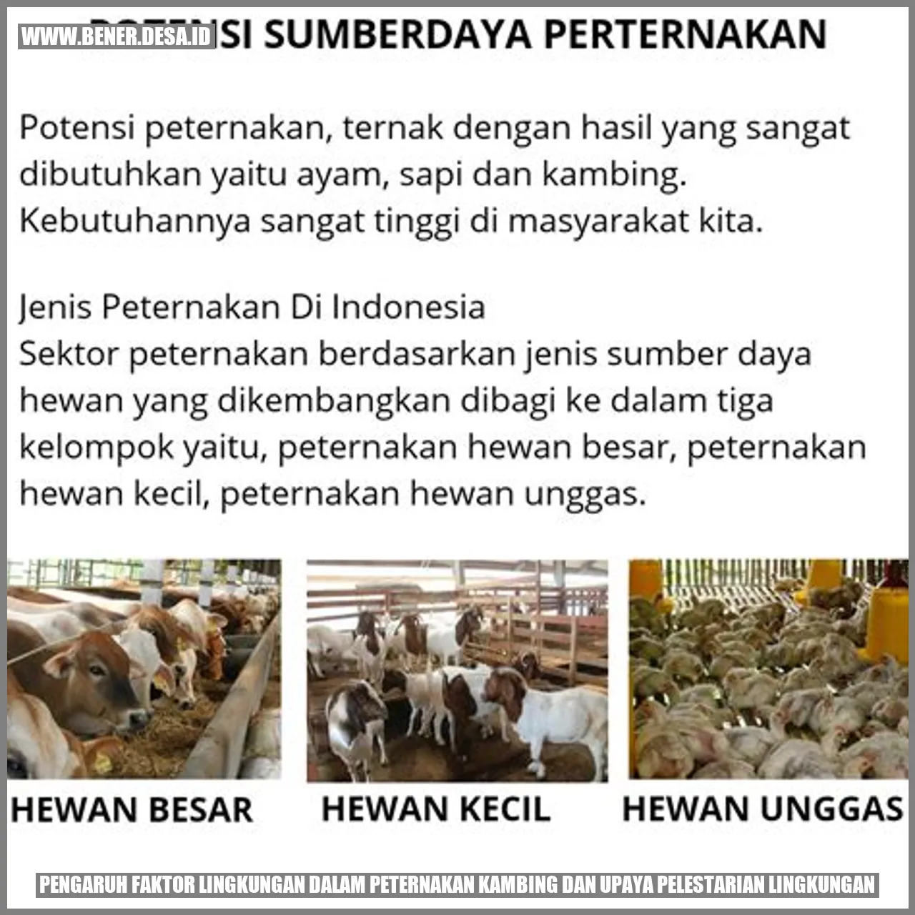 Pengaruh Faktor Lingkungan dalam Peternakan Kambing dan Upaya Pelestarian Lingkungan