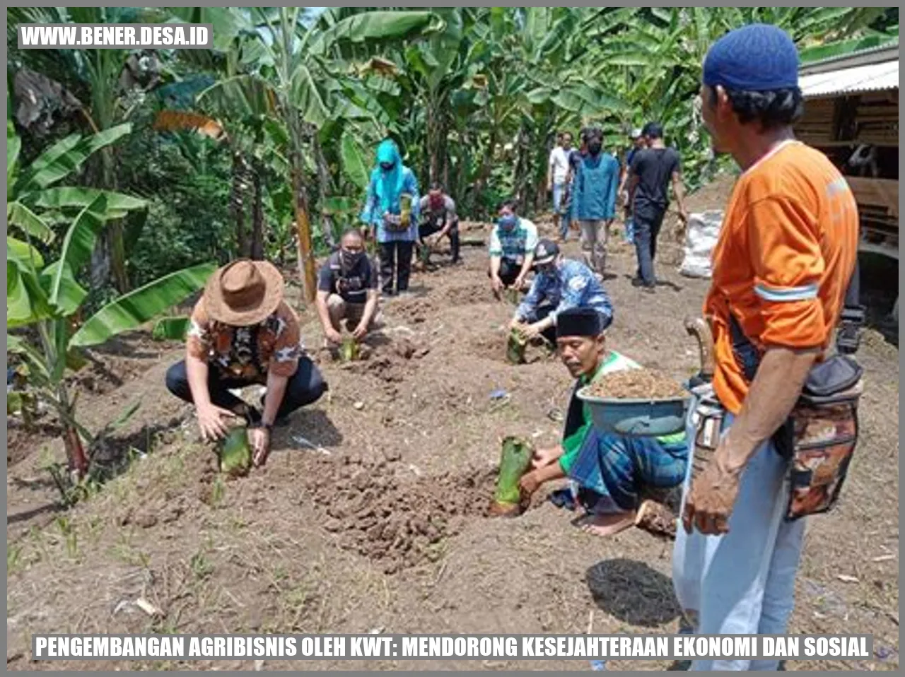 Pengembangan Agribisnis oleh KWT: Mendorong Kesejahteraan Ekonomi dan Sosial