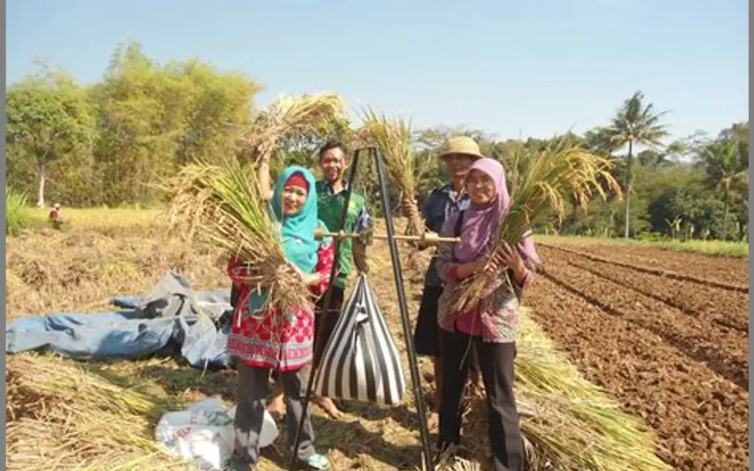 Pengembangan Keuangan dan Pemasaran melalui Kelompok Tani: Meningkatkan Pendapatan Petani