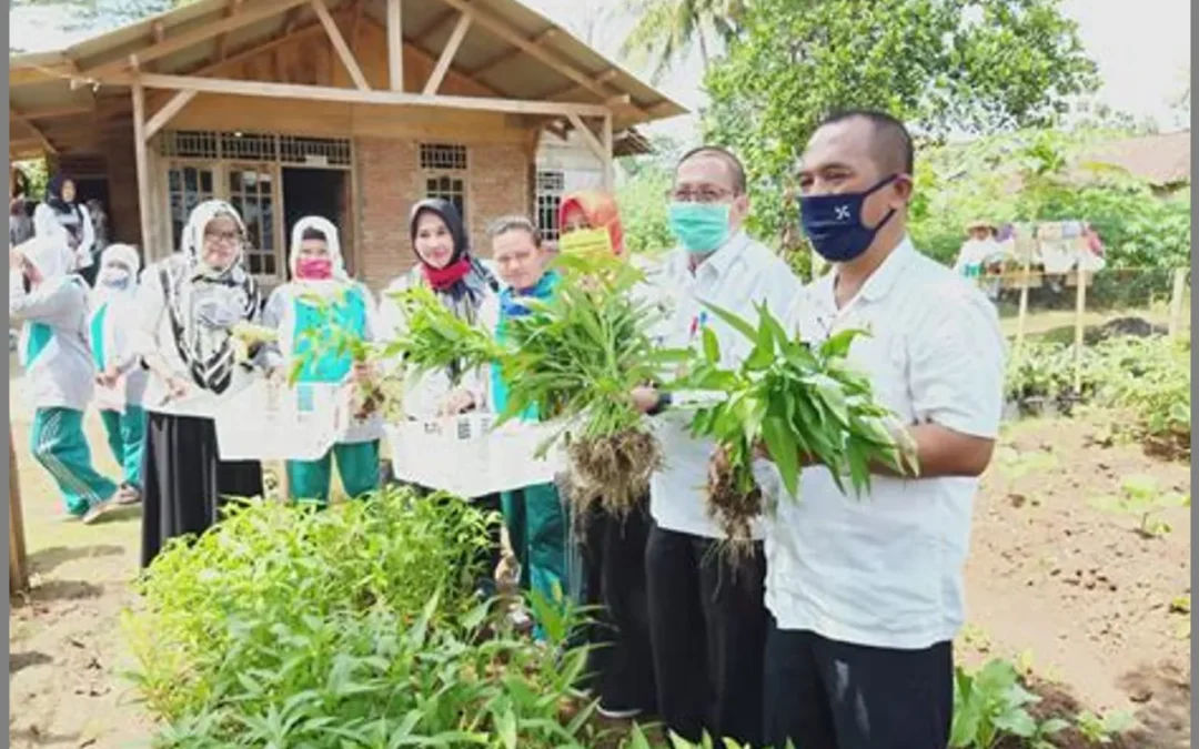 Peningkatan Kapasitas dan Literasi Wanita Tani melalui KWT: Menjadi Agen Perubahan dalam Pertanian