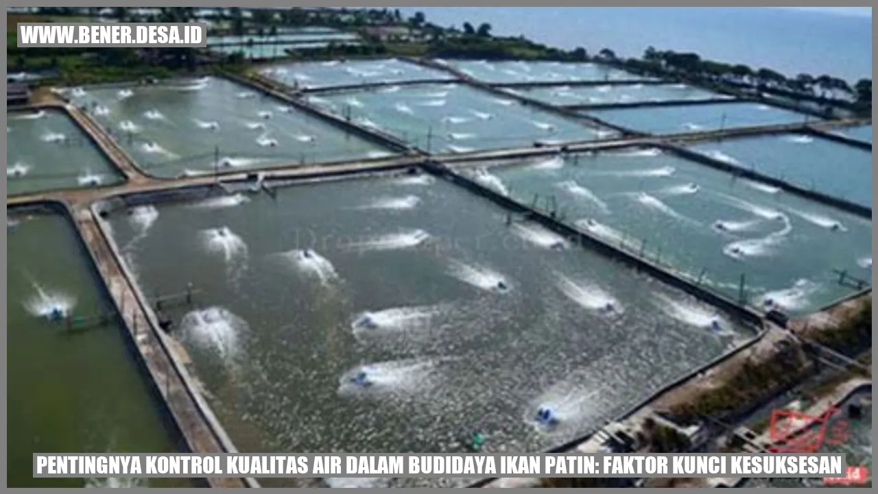 Pentingnya Kontrol Kualitas Air dalam Budidaya Ikan Patin: Faktor Kunci Kesuksesan