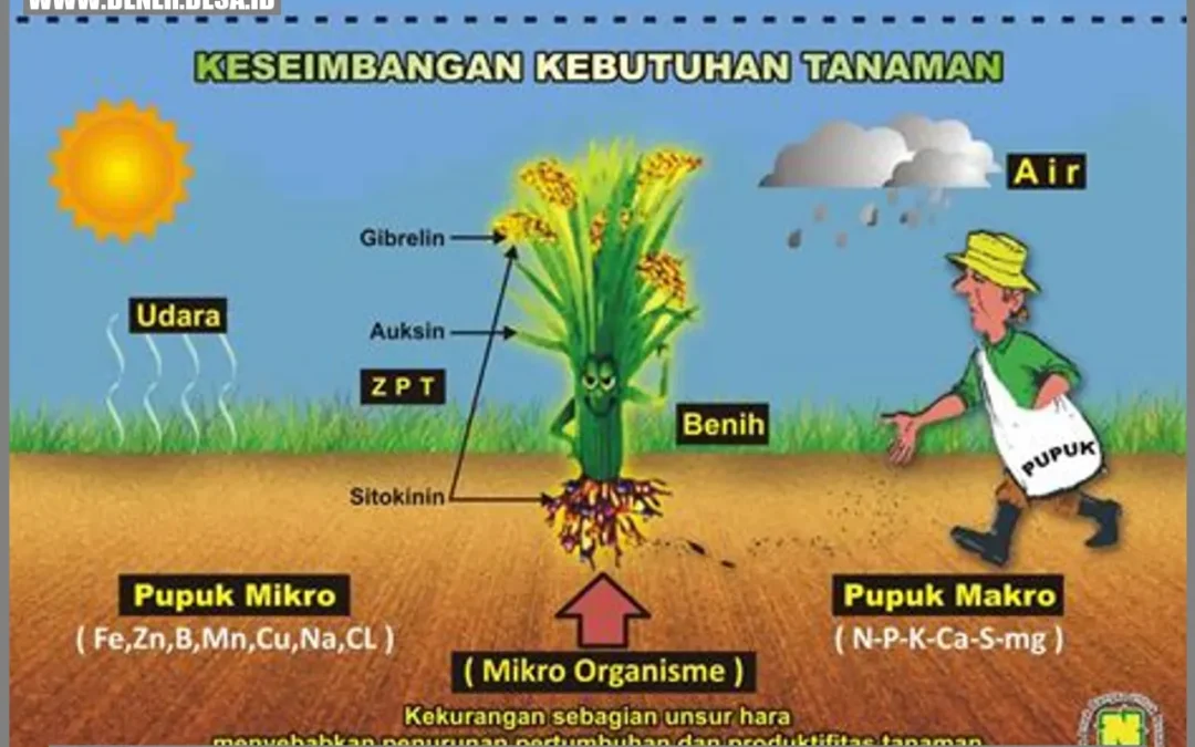 Peran Kambing dalam Sistem Pertanian Organik: Mempraktikkan Metode Tanpa Pestisida dan Bahan Kimia