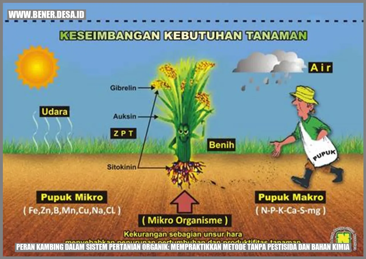 Peran Kambing dalam Sistem Pertanian Organik: Mempraktikkan Metode Tanpa Pestisida dan Bahan Kimia