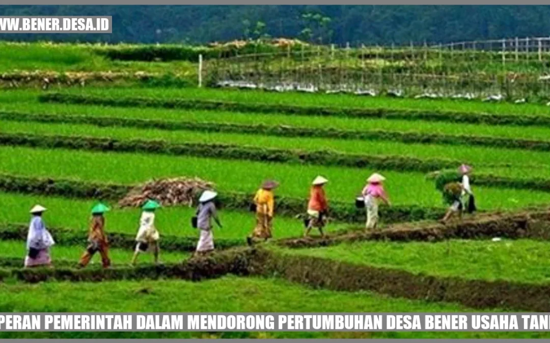 Peran Pemerintah dalam Mendorong Pertumbuhan Desa Bener Usaha Tani