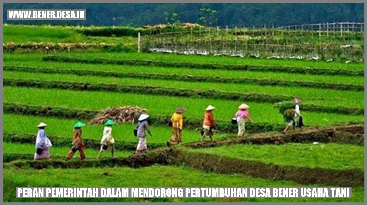 Peran Pemerintah dalam Mendorong Pertumbuhan Desa Bener Usaha Tani