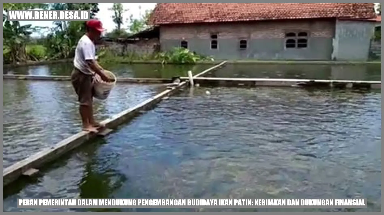 Peran Pemerintah dalam Mendukung Pengembangan Budidaya Ikan Patin: Kebijakan dan Dukungan Finansial