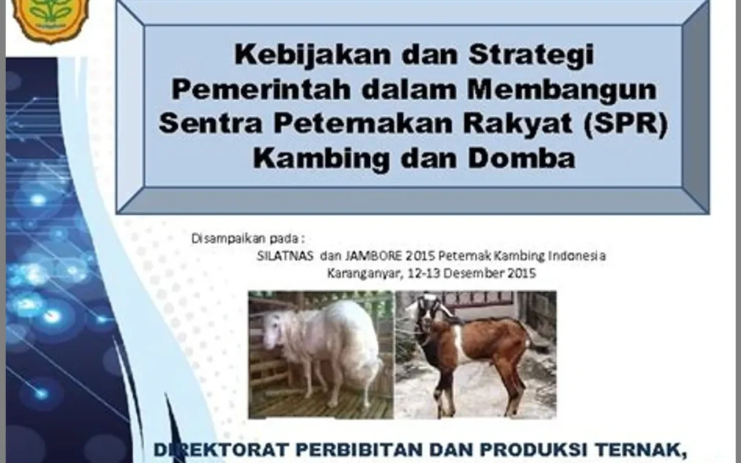 Peran Pemerintah dalam Mendukung Pengembangan Peternakan Domba Ekor Gemuk: Kebijakan dan Regulasi