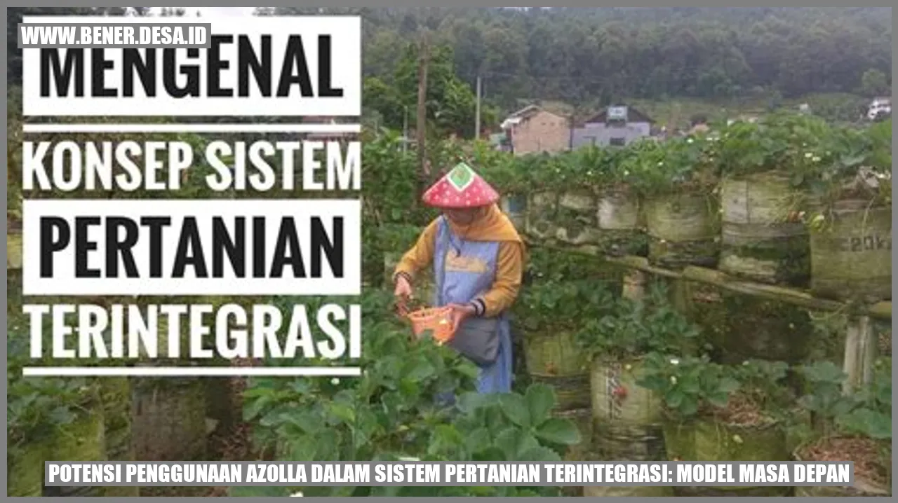 Gambar Potensi Penggunaan Azolla dalam Sistem Pertanian Terintegrasi: Model Masa Depan