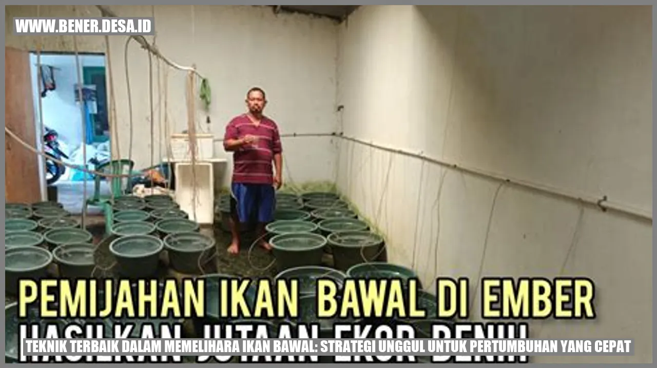 Teknik Terbaik dalam Memelihara Ikan Bawal: Strategi Unggul untuk Pertumbuhan yang Cepat